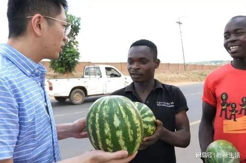 网红吃瓜黑历史是真的吗知乎,真相还是谣言？