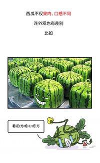 历史热门吃瓜视频大全,那些年我们一起“围观”的精彩瞬间