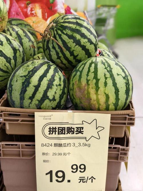 今日北京麒麟瓜价格,品质佳价优，市民抢购热潮涌动”