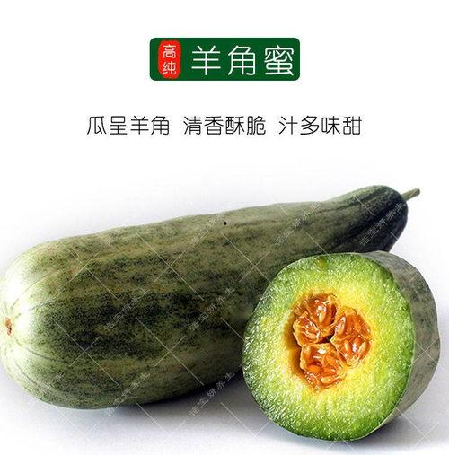 热门羊角瓜种子是什么,引领园艺新潮流的绿色宠儿