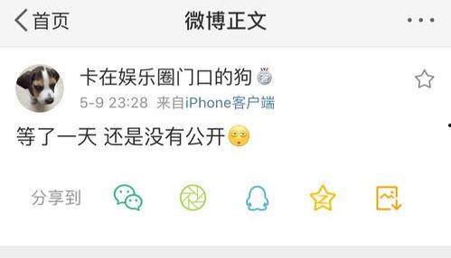 最新吃瓜爆料大全网站,娱乐圈风云再起，热点事件一网打尽