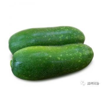 阳瓜尖价格今日
