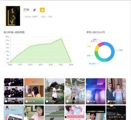 分瓜数据热门音乐,探寻音乐潮流风向标