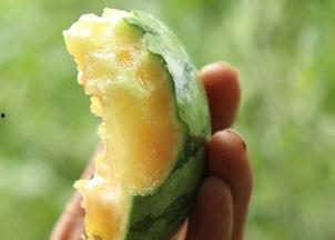近几年的热门大瓜,近两年爆火大瓜盘点