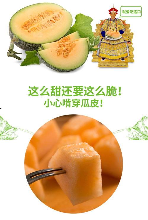 今日吃瓜热门推荐,揭秘娱乐圈最新吃瓜大事件，你不可错过的精彩瞬间