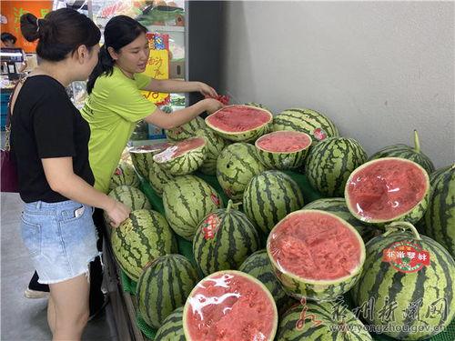 宁夏麒麟瓜今日价格,价格行情一览”
