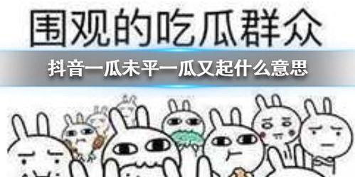 抖音最新热门吃瓜,揭秘网红们的幕后故事