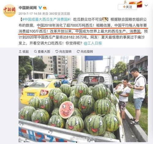 热门瓜都有哪些品种图片,图解各式瓜果风采
