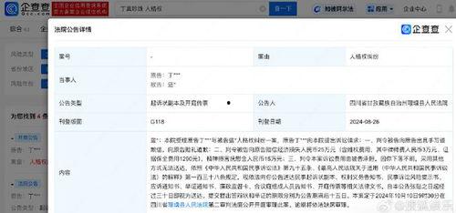吃瓜曝光黑粉最新版本更新内容,揭秘黑粉动态，守护网络清朗空间