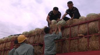 热门吃瓜集中营,娱乐圈幕后真相大曝光