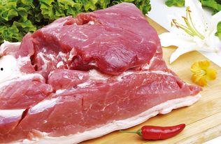 今日瓜州猪肉价,今日行情一览
