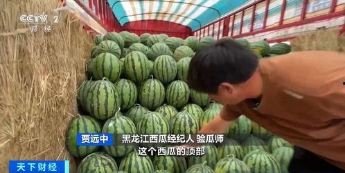 最近有什么热门吃瓜,揭秘明星幕后故事，带你领略幕后风云