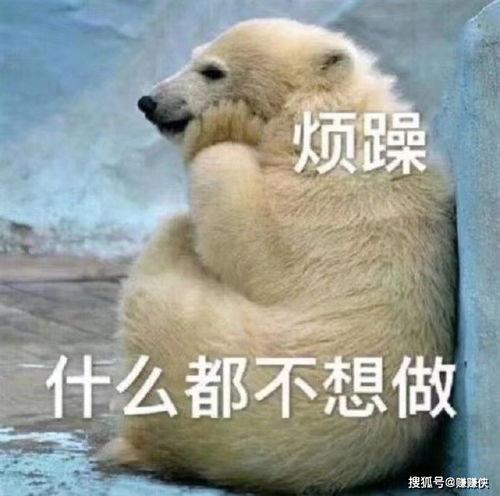 热门吃瓜话题图片,图说娱乐圈风云变幻
