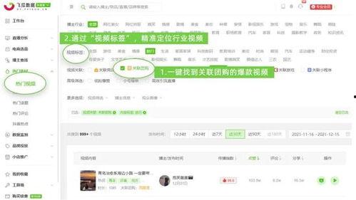 飞瓜最新热门视频软件,最新热门软件趋势一览