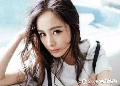 明星网红地位排行,谁才是顶流之王？