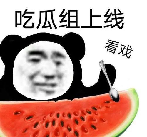 一个人玩b吃瓜黑料,B吃瓜黑料背后的真相与影响