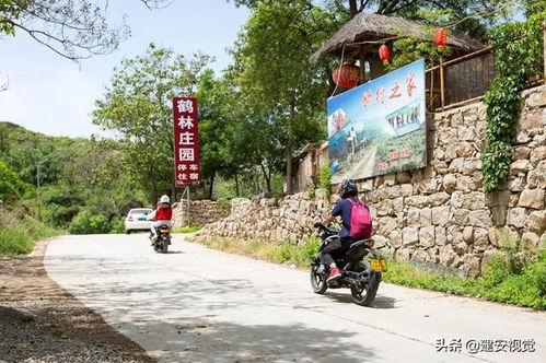 林州吃瓜大爆料视频最新,揭秘背后惊人真相