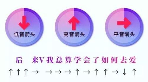 抖音热门歌曲吊瓜,带你领略夏日清凉旋律