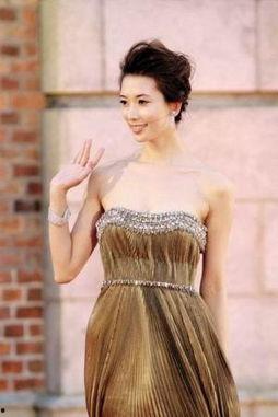 香港明星网红粽子,传统美味与时尚潮流的完美融合