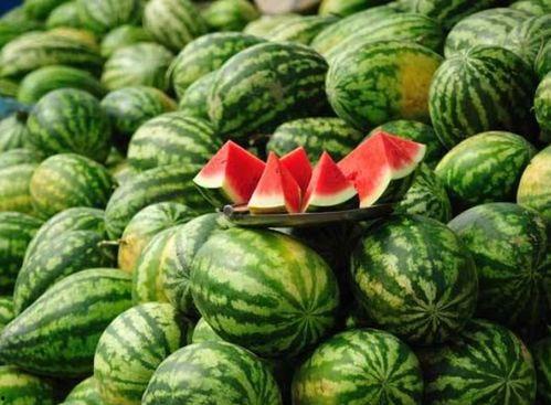 康县网红吃瓜视频爆料