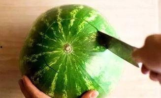 沈阳吃瓜爆料是真的吗,真相揭秘，是真是假？