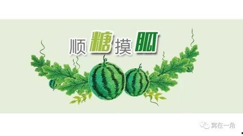 吃二甲双瓜会拉黑血么吗,“二甲双瓜与黑血拉肚子的真相揭秘”