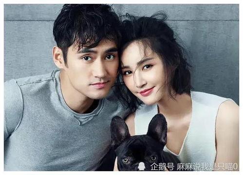 明星互相爆料吃瓜微博