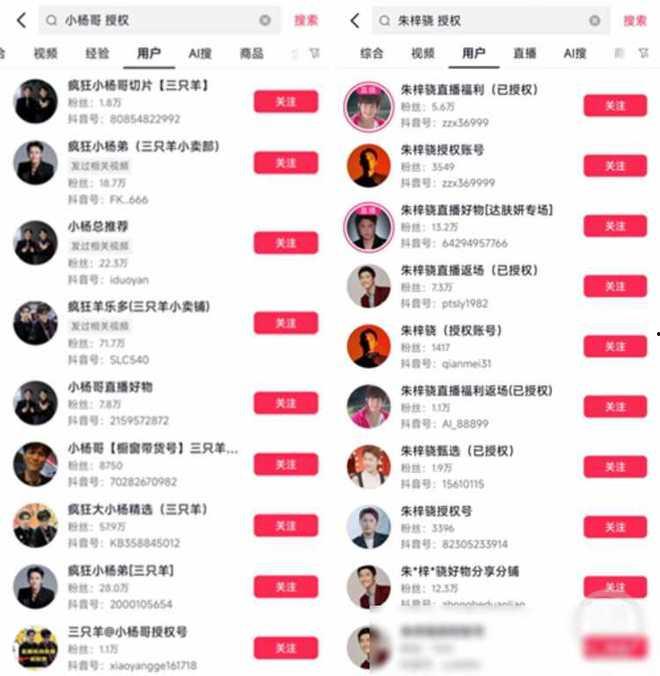 明星网红授权网站,解锁网红经济新趋势