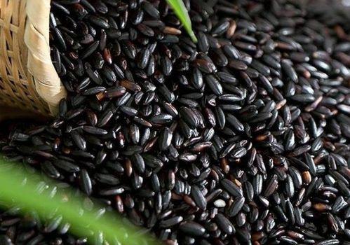 茄瓜与黑米薏米一起吃吗,营养互补的美食探索