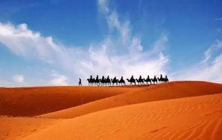 明星网红去沙坡头,沙坡头，明星网红的沙漠奇遇之旅