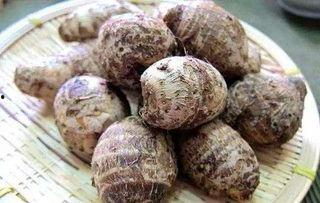 吃黑酥瓜好不好消化吸收,消化吸收的优质选择